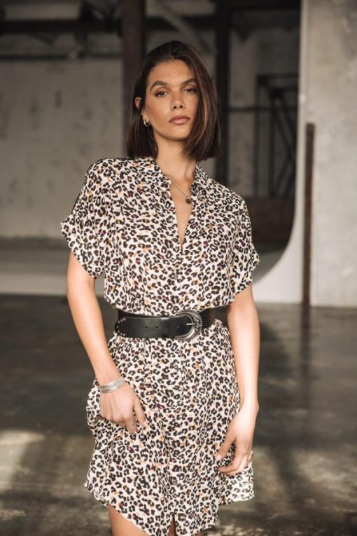 Dressovia.shopdf02273ee0 10