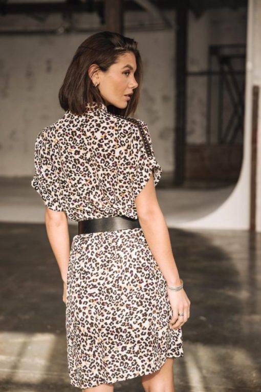 Dressovia.shopdf02273ee0 5